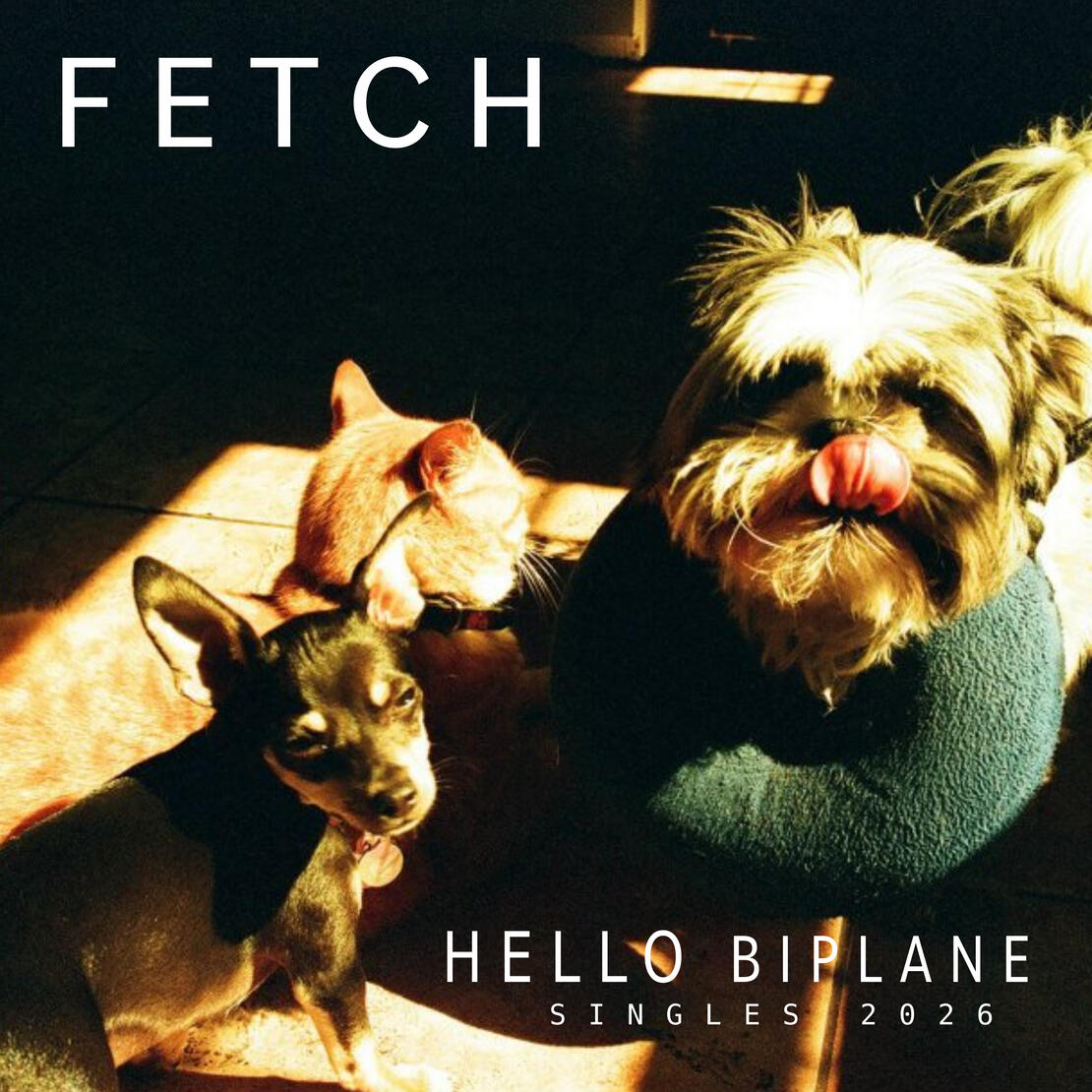 FETCH